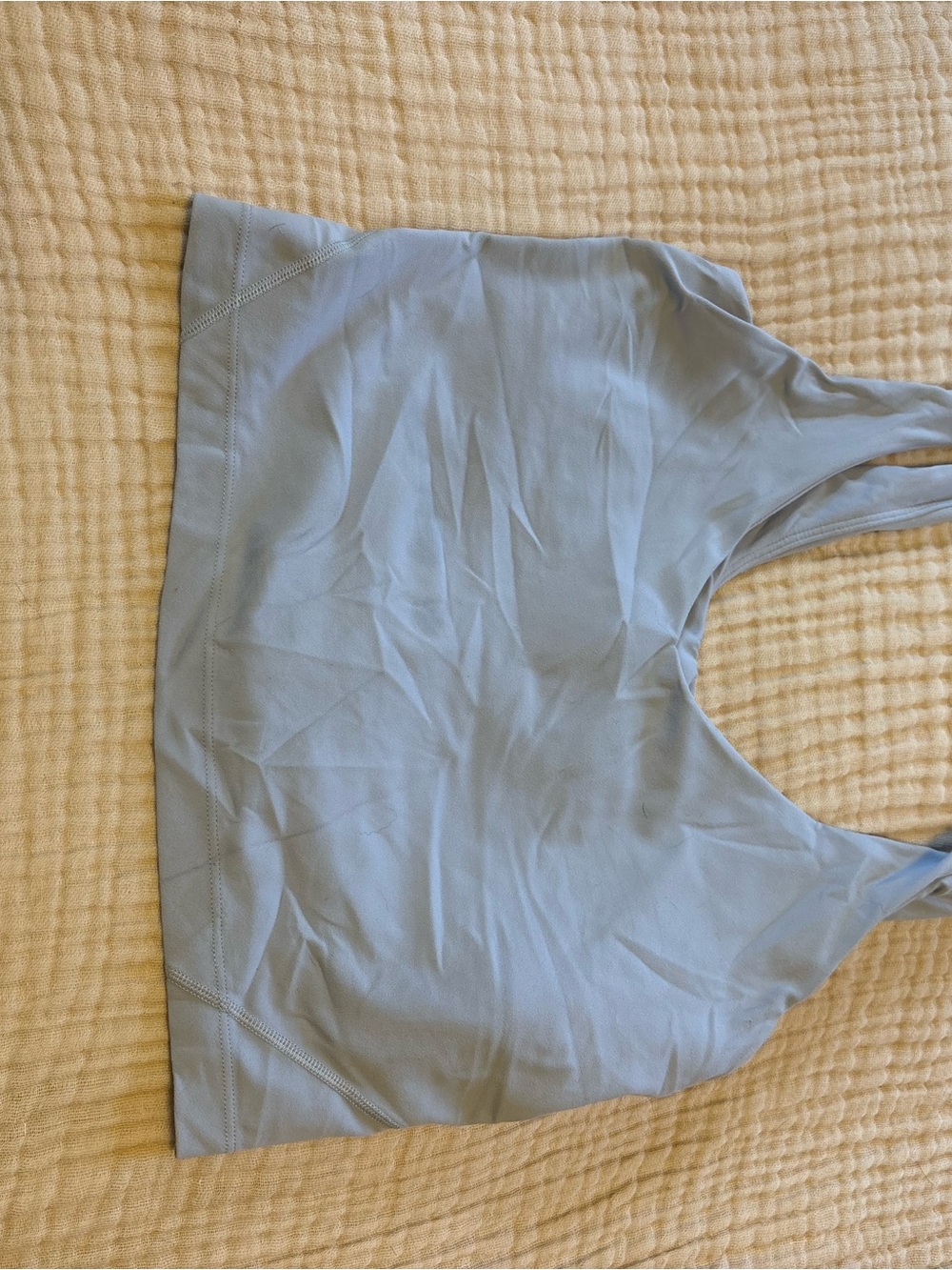 Light Blue Women's Seamless Crop Workout Top